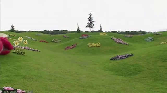 a red teddy bear is laying on the grass in a field