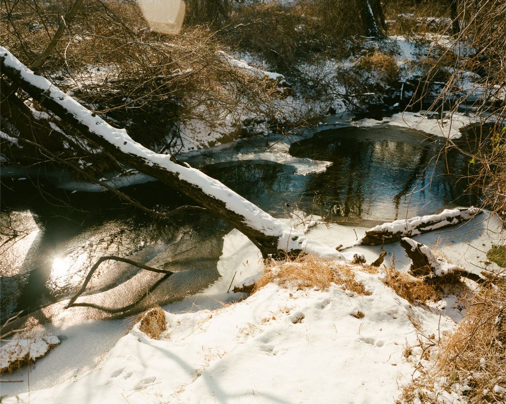 Photo taken with my Mamiya 7 // 65mm lens. 