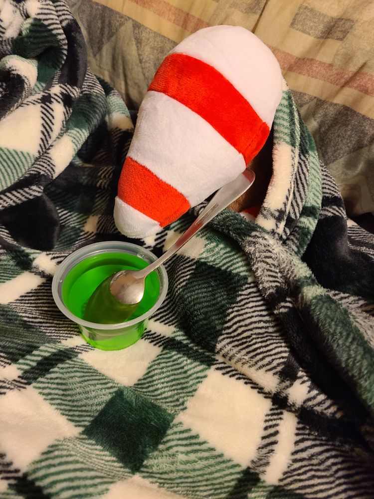 Sniffer loves Jello.