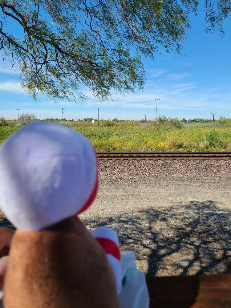 She sees a nice horizon.