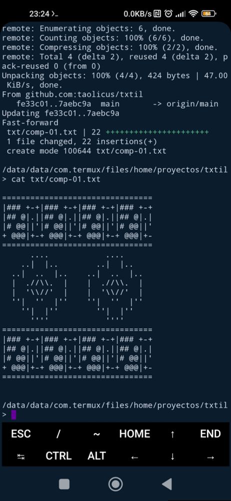 ASCII art with Diaguita motifs.