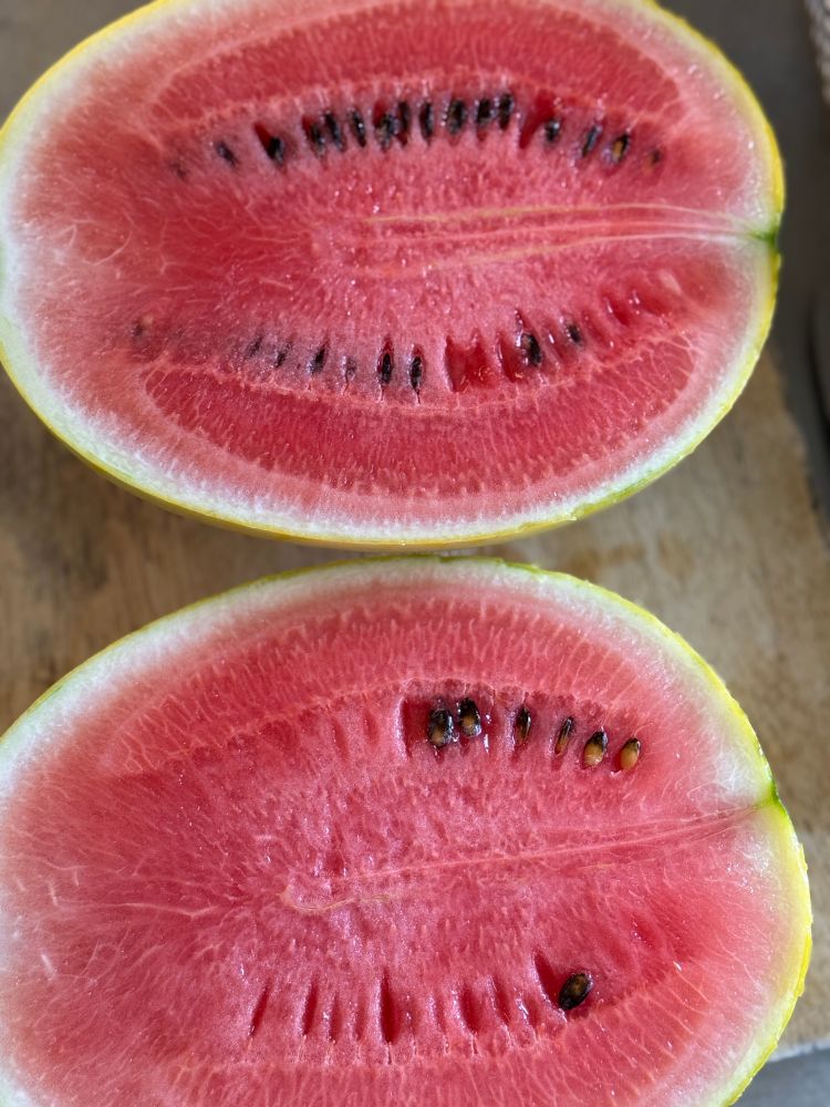 スイカを半分に切った写真。真っ赤！