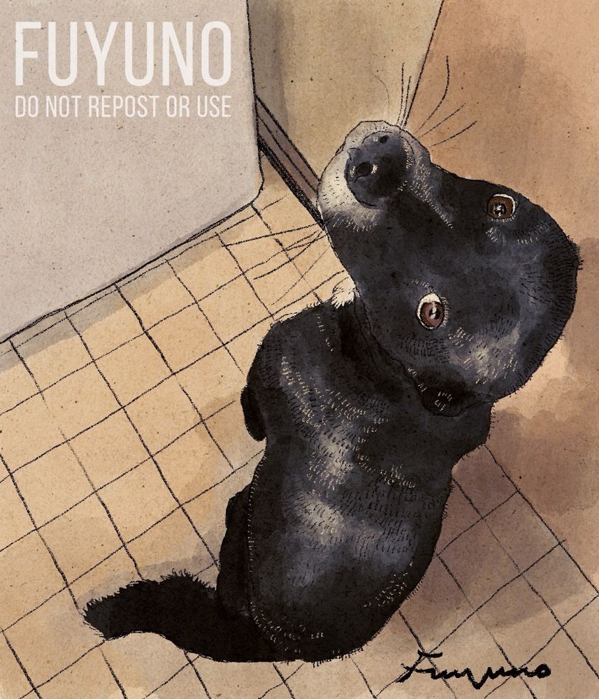 洗われて濡れている黒い中型犬のデジタルイラスト。濡れて光っているのでアザラシに似ている。