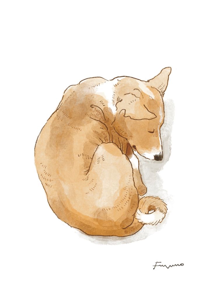 バセンジーという種類の犬が丸くなって眠っているイラスト。