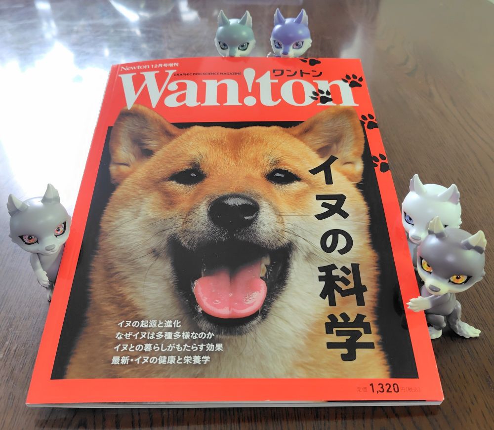 柴犬が表紙の科学雑誌と、カプセルドールの狼達