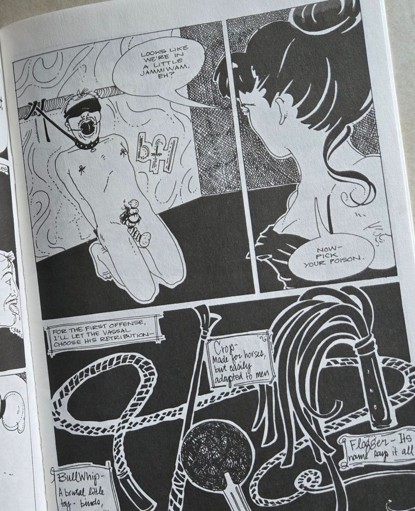 Comic page. First scene is a person bound and gagged. Blind folded, cock bound, leashed, and handcuffed. Dom is saying "looks like we're in a little jammiwam, eh? Now- pick your poison." Second scene includes depictions and descriptions of various bdsm tools and toys. Floggers, crops, bullwhips, paddles. 