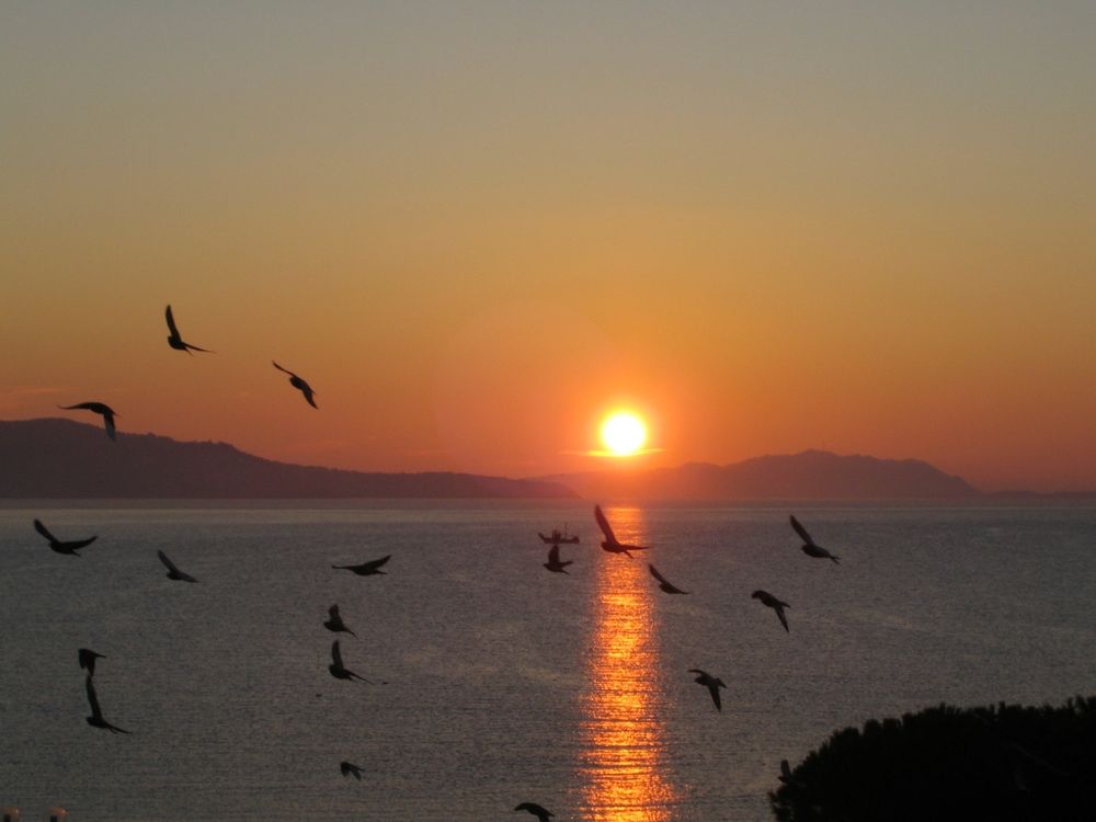 Le soleil se couche derrière les terres et se reflète dans la mer. Des oiseaux volétent devant  mes yeux 