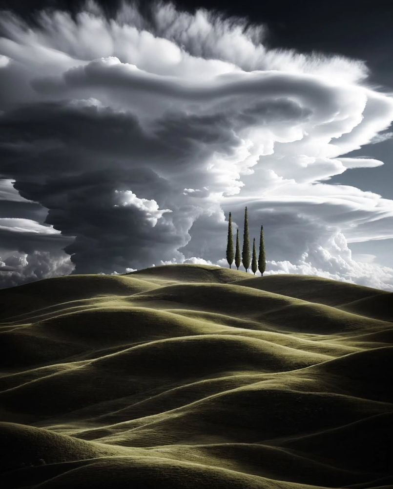 Plaine vallonnée avec 5 cyprès alignés. Ciel très nuageux 
Photo IA 