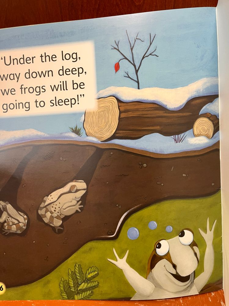 'Under the log, way down deep, we frogs will be going to sleep!"
