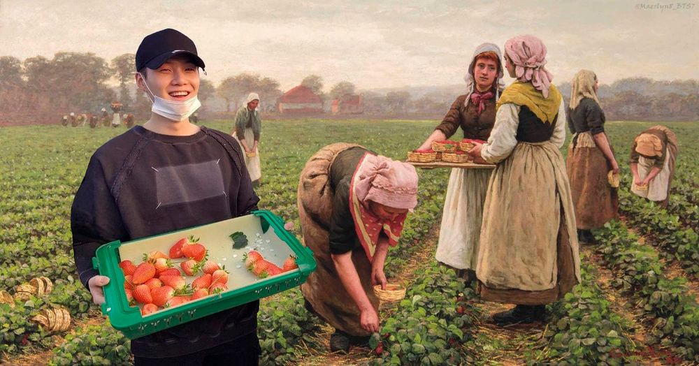 Yoongi, smiling bright, holding a tray of strawberries in a field of pickers.