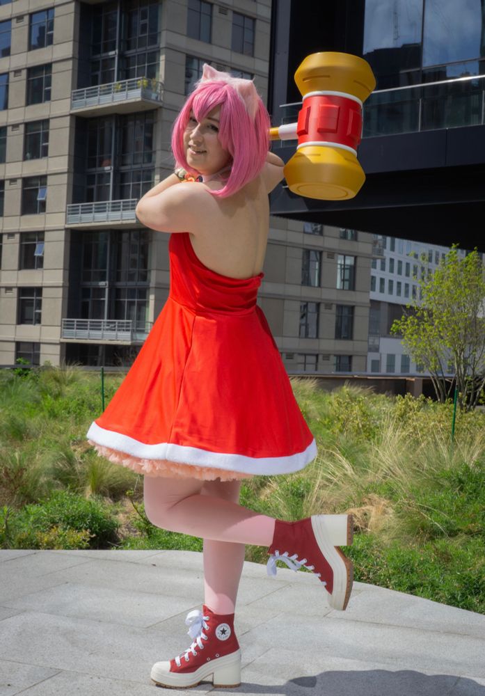 Thats Amy Rose to you! 