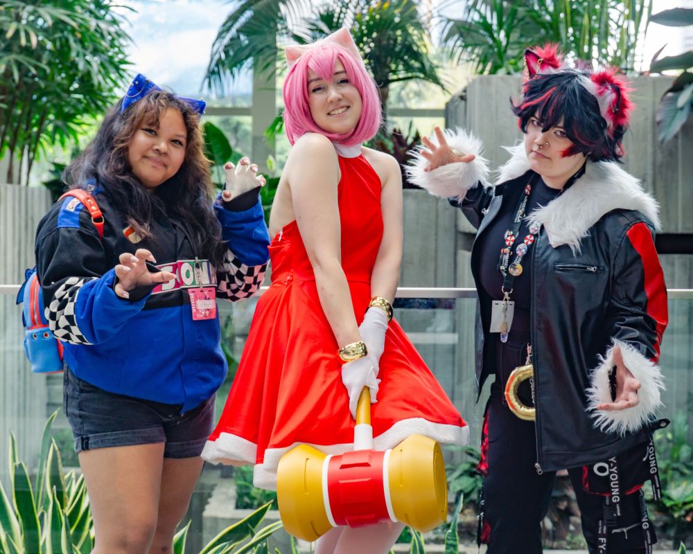 Sonic, Shadow, Amy cosplay