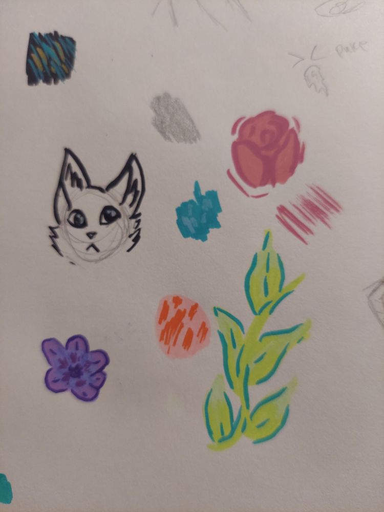 Practice doodles of flowers, leaves and a cat