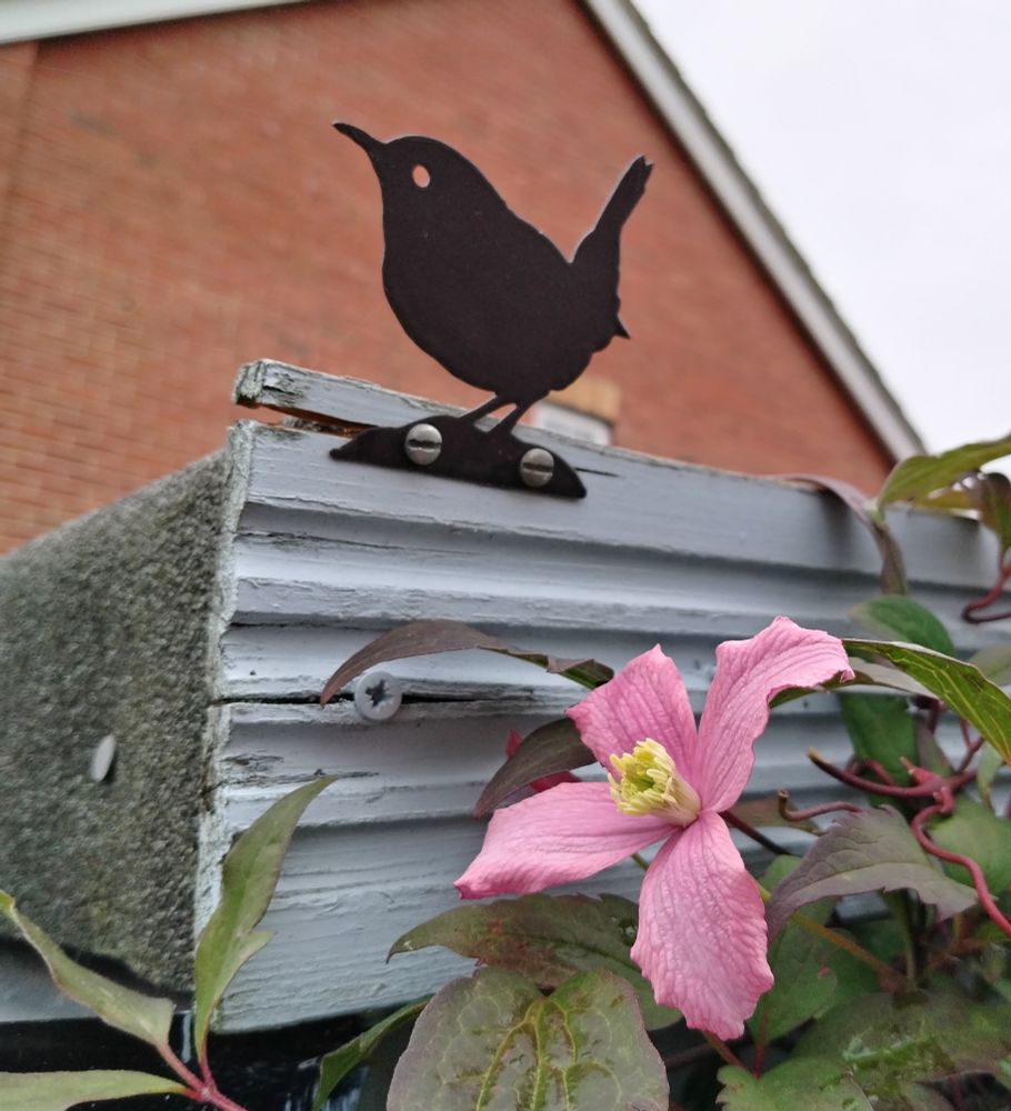 The profile of a black metal wren attached to the roof of a pale blue shed with a four-petalled Clematis flower with a furry yellow centre