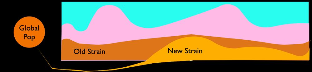 Muller plot of three species fluctuating in abundance over time. A new strain of one of the species invades from a global population and competes with the old strain. 