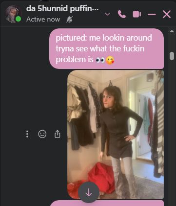 A screenshot of my former social circle’s group chat, with messages sent by myself of a photo of me with one hand on my hip and an incredulous look (🤨) and the text:
“pictured: me lookin around tryna see what the fuckin problem is 👀😘”