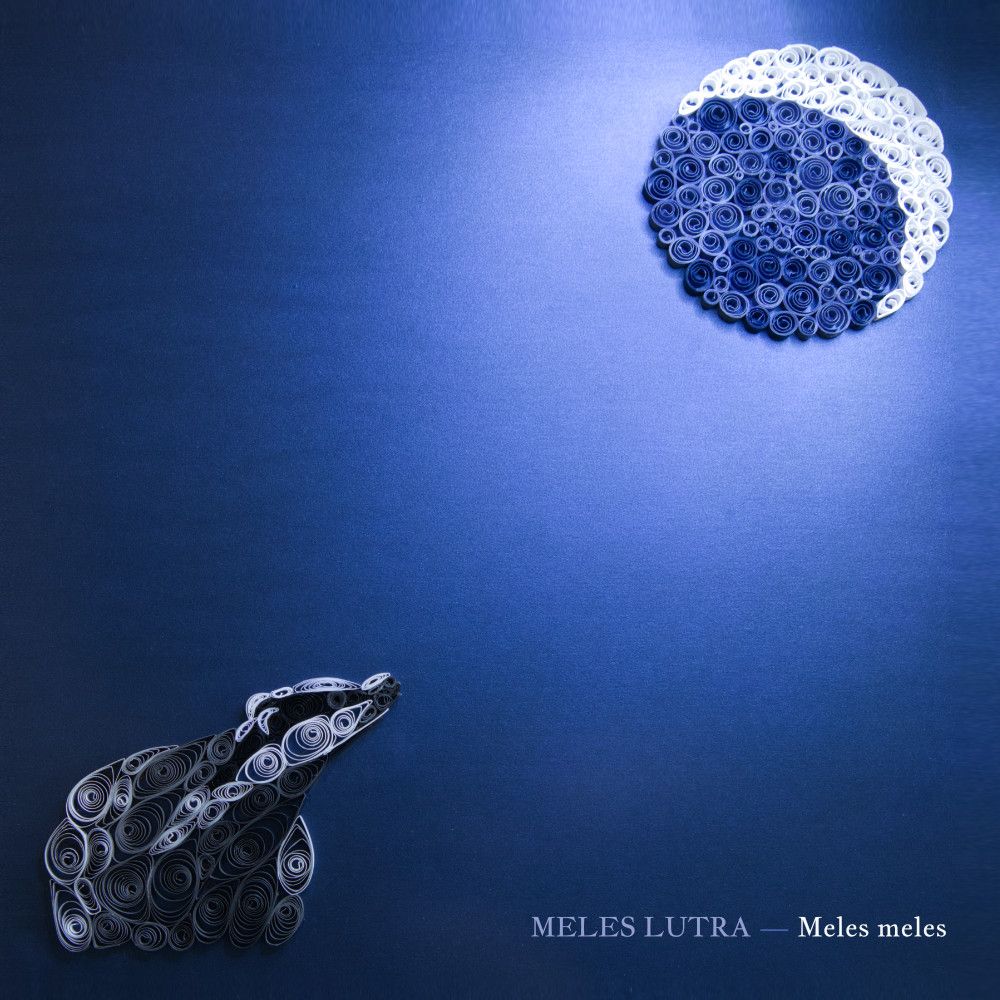 Album cover for Meles meles by the band Meles Lutra. Features a quilled picture of a badger looking at the moon.