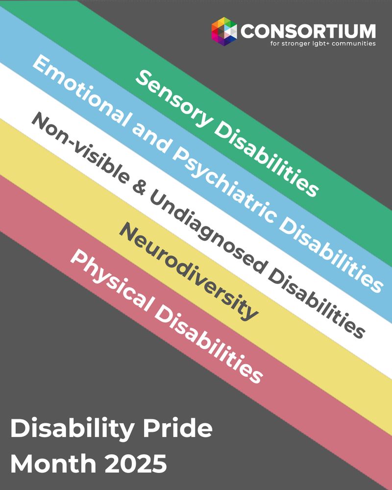 This image has a dark grey background with five coloured stripes.
Red: Physical Disabilities, Gold: Neurodiversity, White: Non-visible and Undiagnosed Disabilities, Blue: Emotional and Psychiatric Disabilities, Green: Sensory Disabilities. The white text reads: Disability Pride Month 2025.

