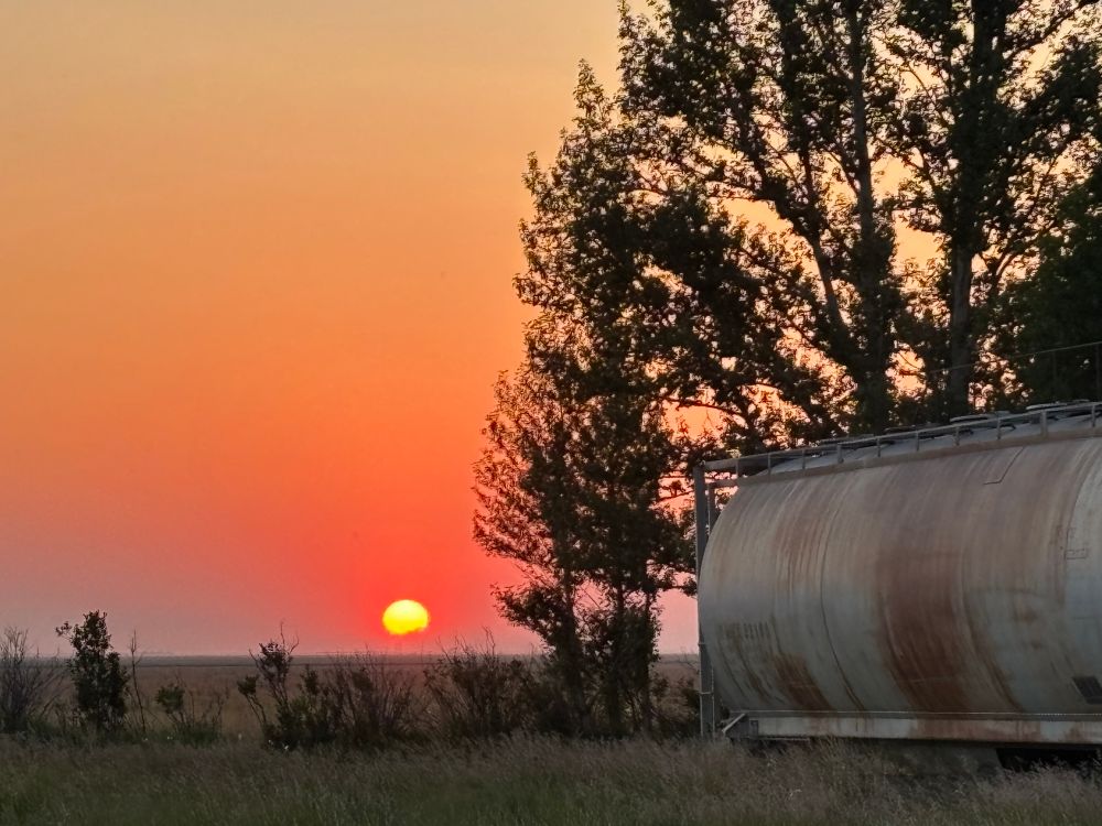 Same description as previous photo, a closer crop with a little more sun and a little less grain car & trees. 