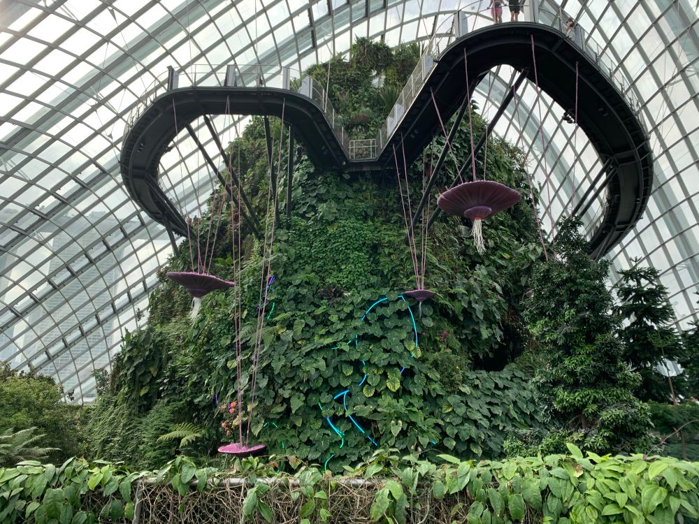 Singapore Cloud Forest