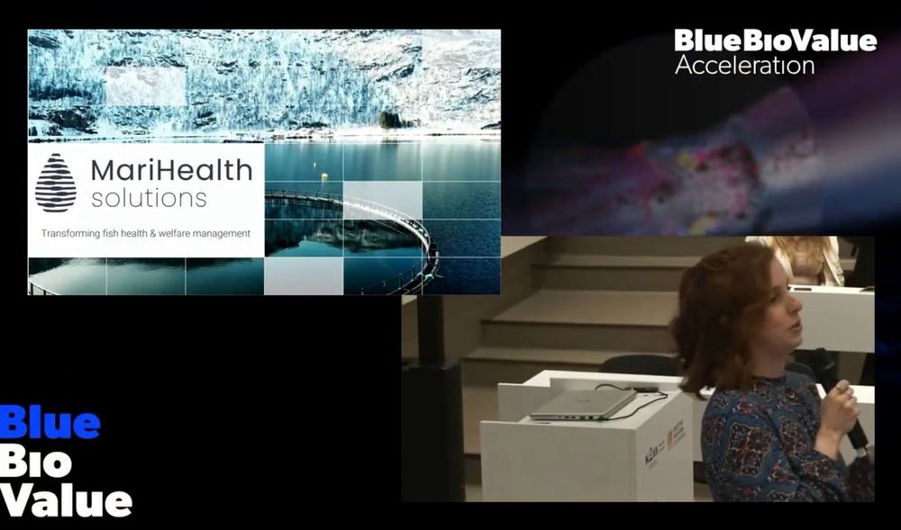 Woman pitching at the Blue Bio Value pitch day 2023, Portugal.