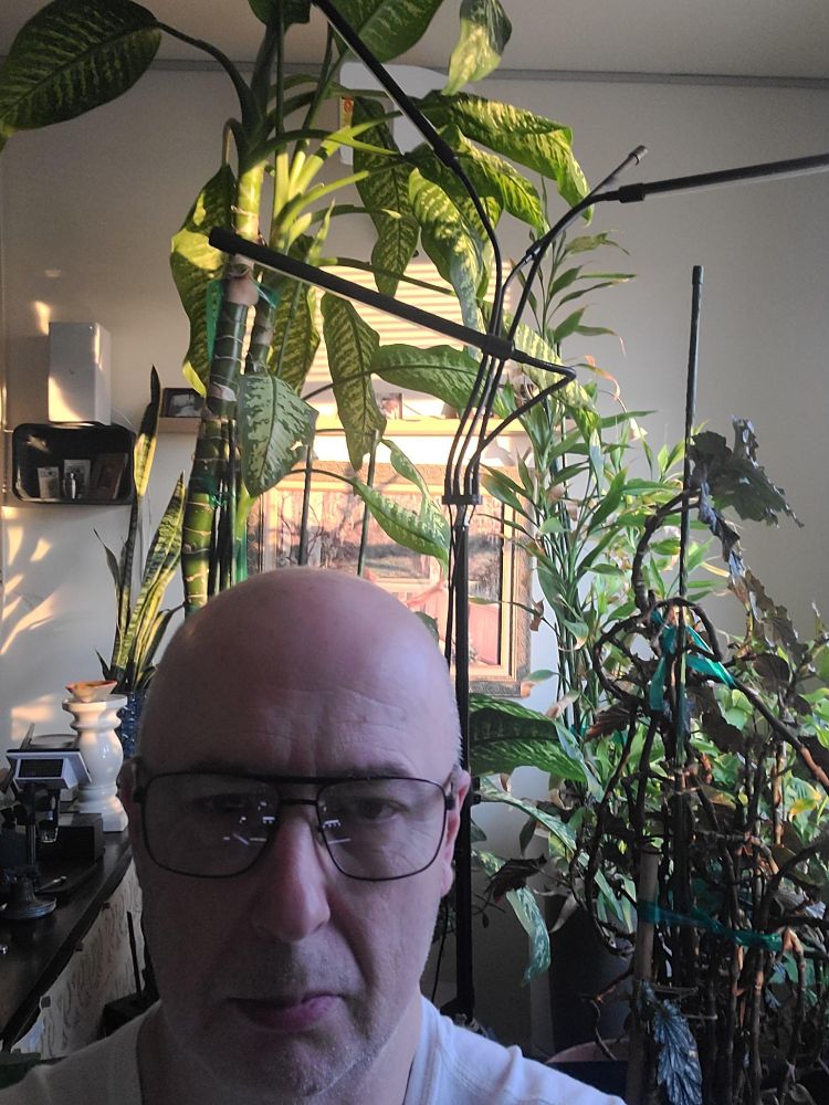 Morning Joe in the winter garden