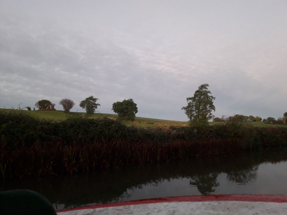 Early morning view of the canal and the field with a line of trees going up from Isobel's roof hatch. The sky is grey and everything just somehow looks dark, cold and damp. 