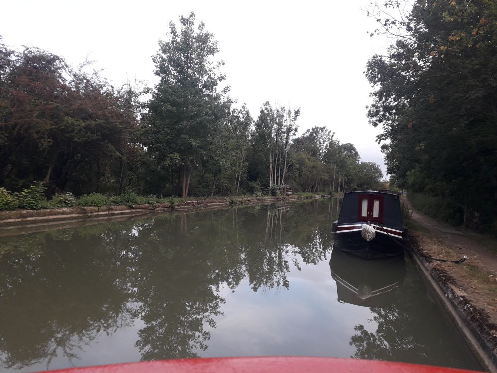 Early morning view from Isobel's roof hatch of the tree lined canal and a moored boat under a white sky. 