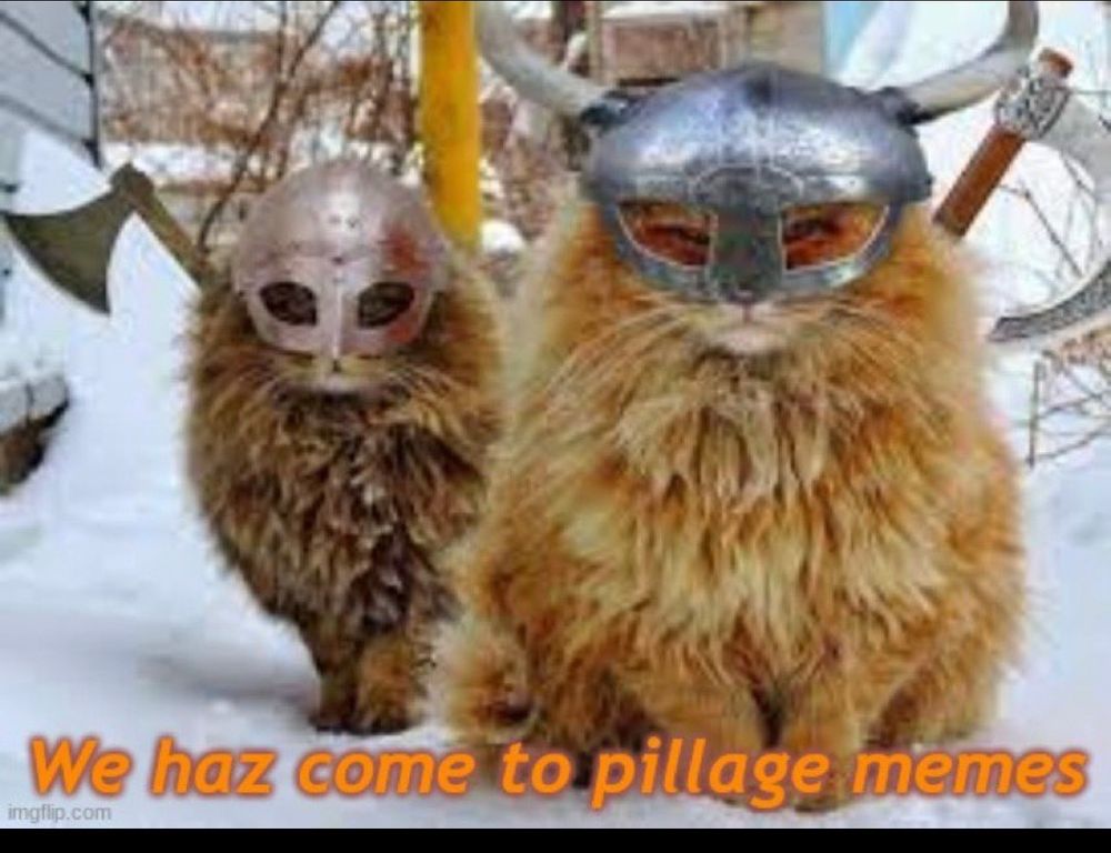 Comment image