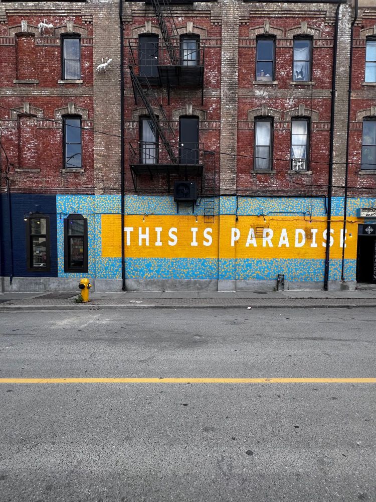 Paradise is in the eye of the beholder. Toronto, Ontario, Canada. July 9, 2025. #POTD #POTD2025