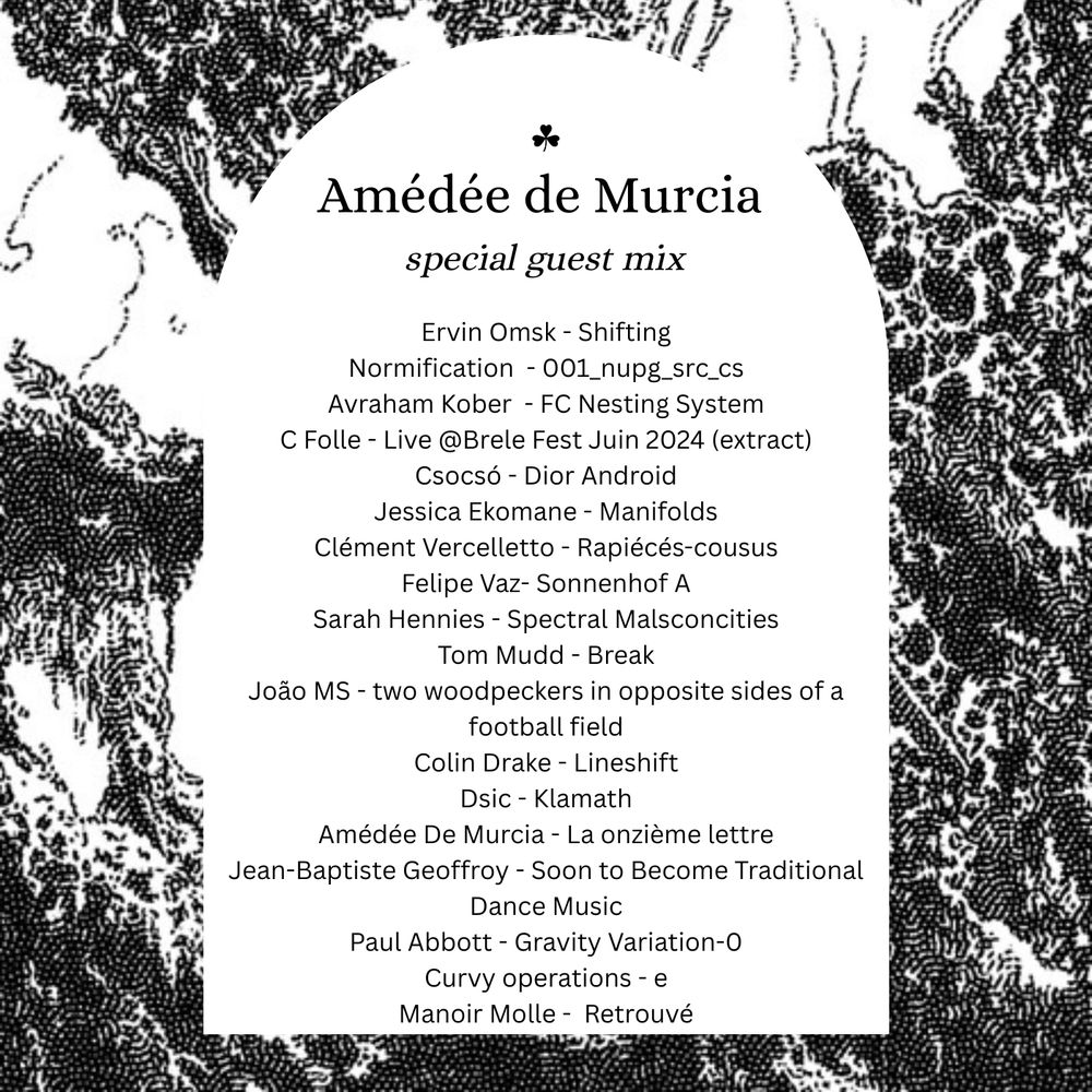 set list for the webradio show Bruits de fond on CAMP radio by wabi-sabi tapes with special guest Amédée de Murcia.
