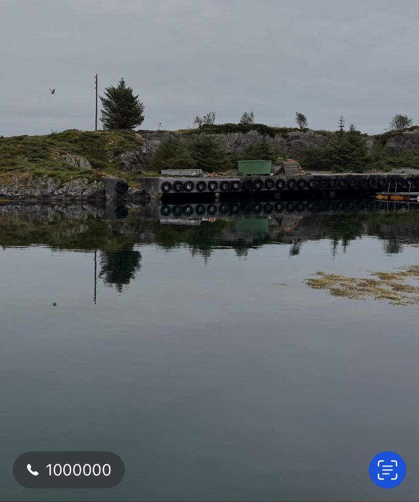 Ein Foto von einem sehr stillen, einfachen Hafenbecken, neben einer Mauerecke hängen mindestens sechs Autoreifen am Kai. Unten eine Einblendung: iOS hat Zahlen erkannt und ermöglicht mir mit einem Telefonhörersymbol, die Nummer „1000000“ direkt anzurufen.