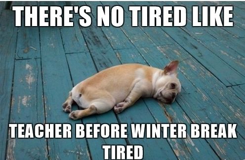 Ein kleiner Hund liegt sehr müde auf Holzbohlen. Text dazu: There's no tired like teacher beforen winterbreak tired
