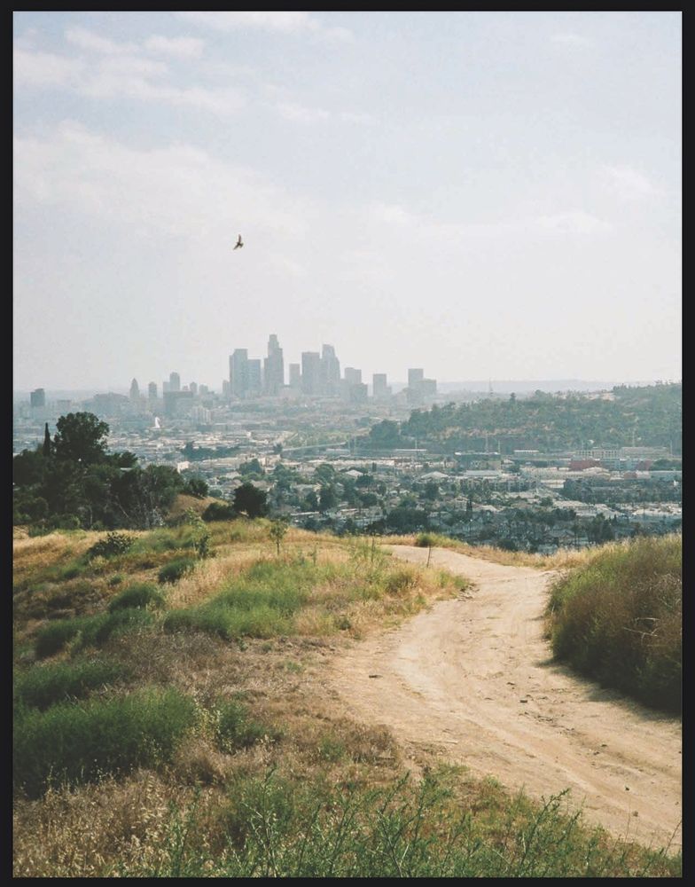 A photo of downtown LA. A winding dirt path in the foreground. The LA skyline in the background. 