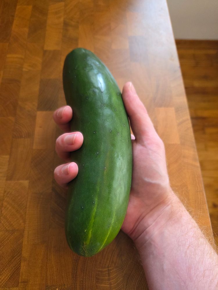 a girthy cucumber