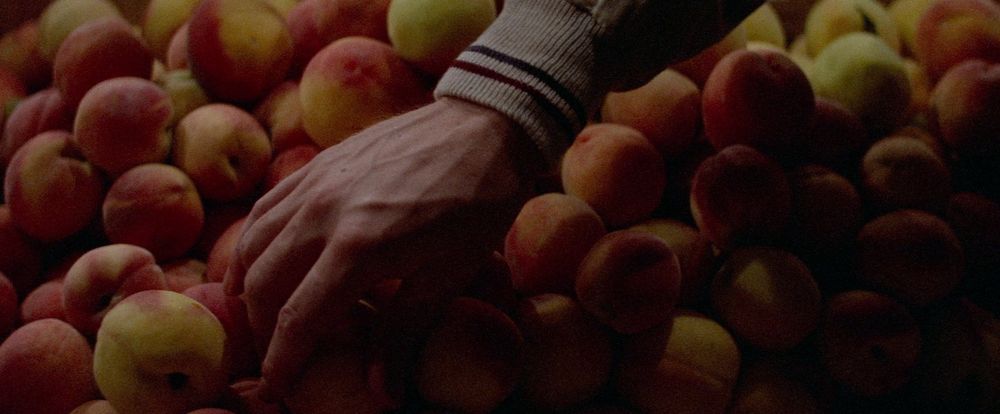 Donald Sutherland’s hand at the market inspecting peaches