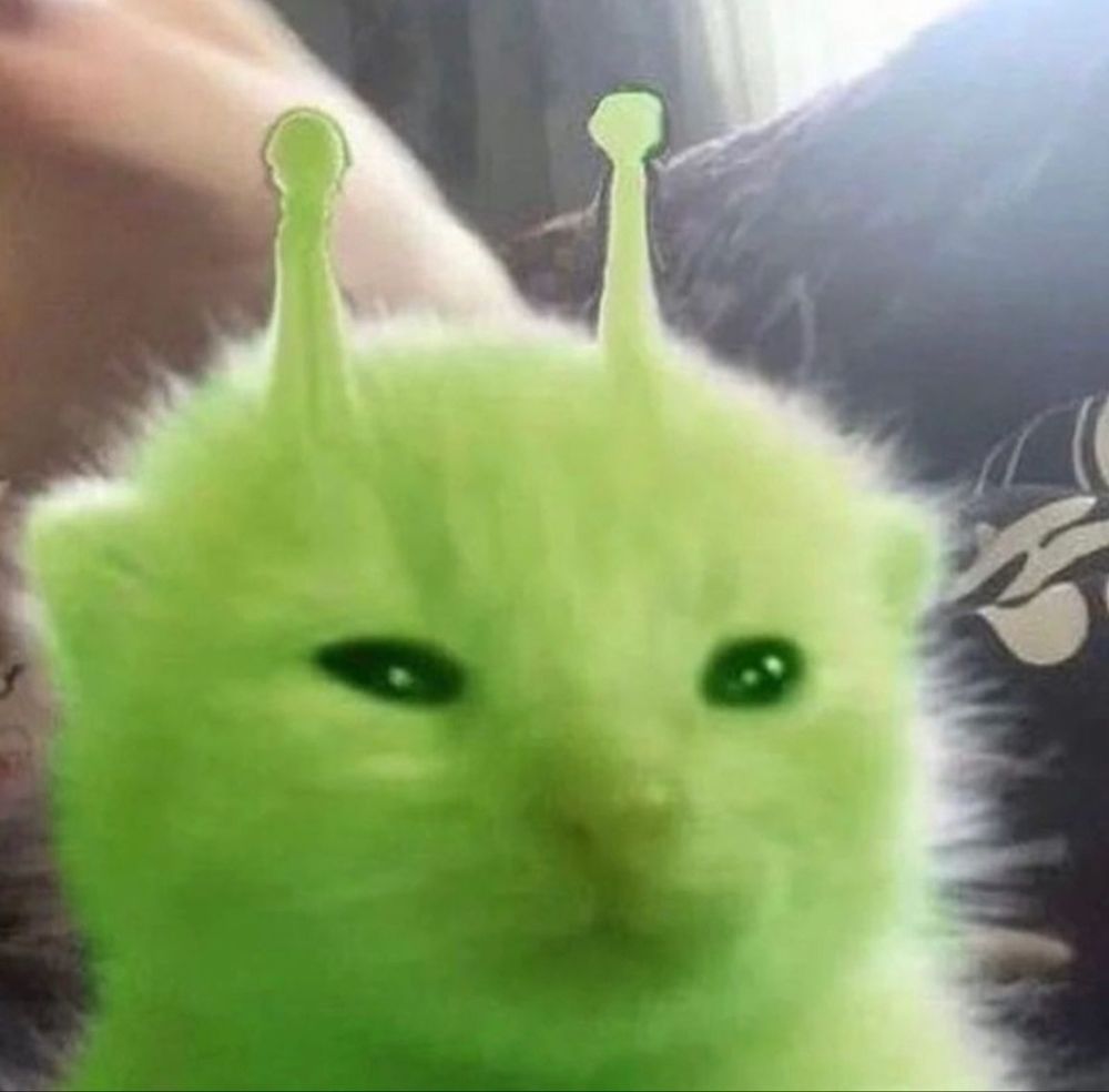Alien cat image
