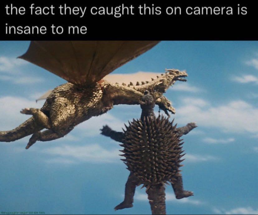 Two monsters from a 1950s monster movie flying in the sky with caption 'the fact they caught this on camera is insane to me'