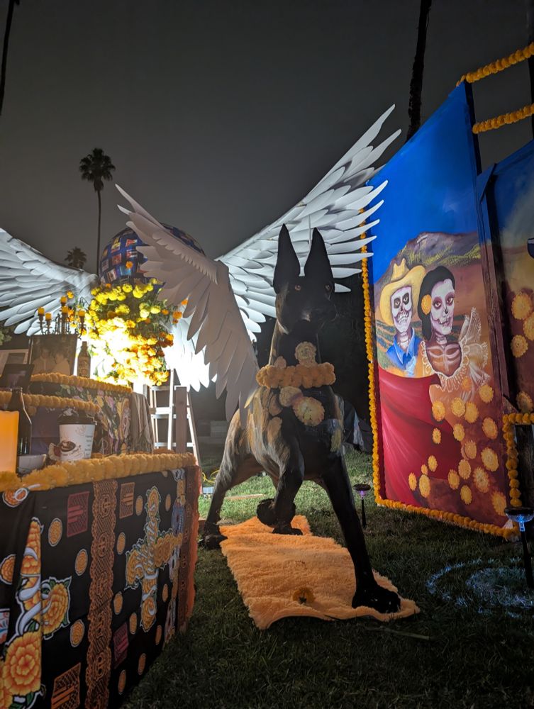 I wish I could've gottten better lighting for a photo of this winged Xoloitzcuintli dog. Huge, impressive, pretty.