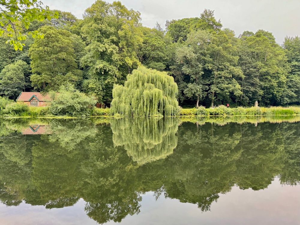 Greeneries and their reflections in the river