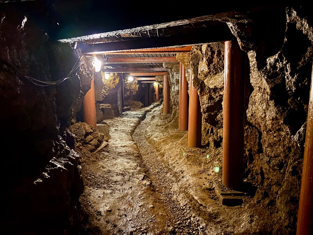 Looking down a mine gallery. Rough hewn rock walls held up by metal pit props. Electric lamps on the wall flooding stark light into the dark tunnel. 