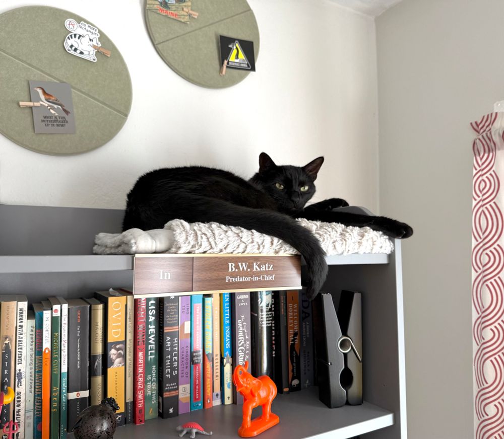 A large black cat with green eyes lounges on a blanket that’s on top of a bookcase. Under him is a nameplate that says “B.W. Katz: Predator-in-Chief” with the In/Out slider set to show “In.”