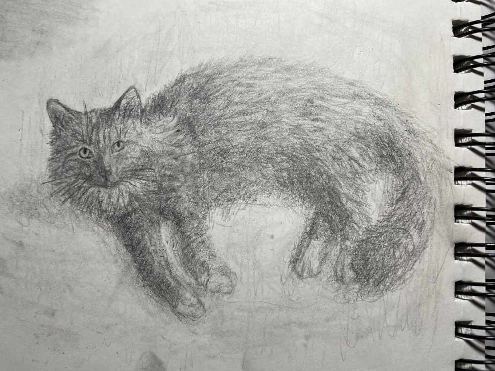 Drawing of Frida