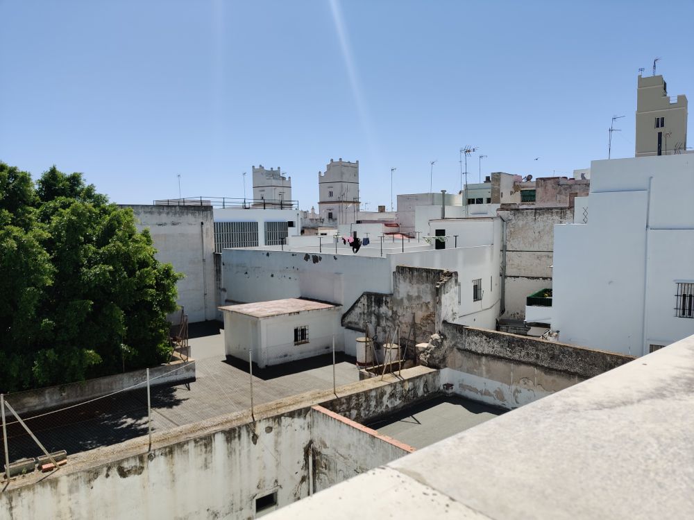 A jumble of typically Mediterranean house rooftops with the towers from merchant houses in the background. It contrasts with the dense green foliage of a tree on the left