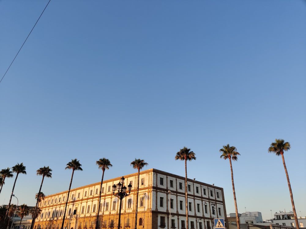 A large abandoned 4 storey building catches the setting sun. A row of palm trees are in front of it. We thought it was a multi-storey carpark when we first saw it. A guide told us it was an orphanage and Google says it's a hospital 

I prefer the hospital explanation as otherwise there must have been a huge number of orphaned kids in the town