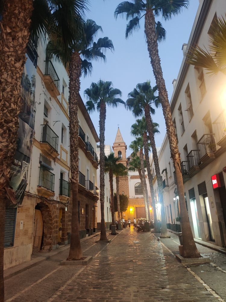 Typical palm lined street in Cadiz with a pointed church turret at the end of the street 