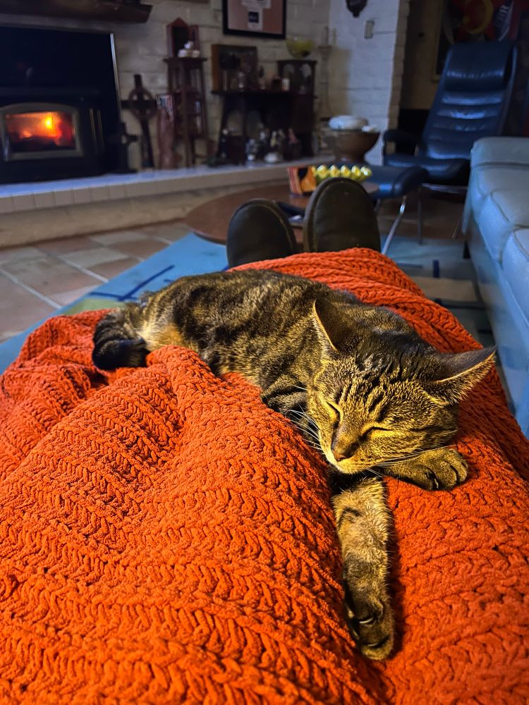 Tabby kitty stretched out snoozing on my blanketed legs.Im not going anywhere.