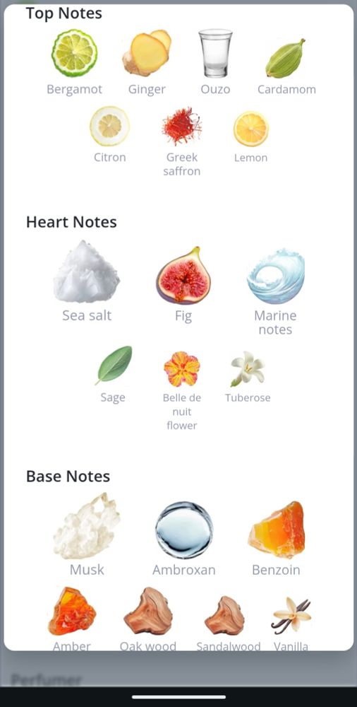 Top notes
Bergamot, Ginger, ouzo, cardamom, citron, Greek saffron, lemon

Heart notes
Sea salt, fig marine notes, sage, belle de Nuit flower, tuberose

Base notes
Musk, Ambrican, benzoin, amber, oak wood, sandalwood, vanilla