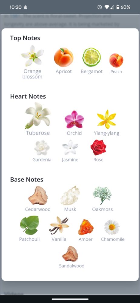Top notes
Orange blossom, apricot, bergamot, peach

Heart notes
Tuberose, orchid, ylang-ylang, gardenia, jasmine, Rose 

Base notes
Cedarwood, musk, oakmoss, patchouli, vanilla, amber, chamomile, sandalwood