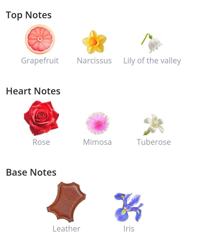 Top notes
Grapefruit, Narcissus, Lily of the valley 

Heart notes
Rose, mimosa, tuberose

Base notes
Leather, iris
